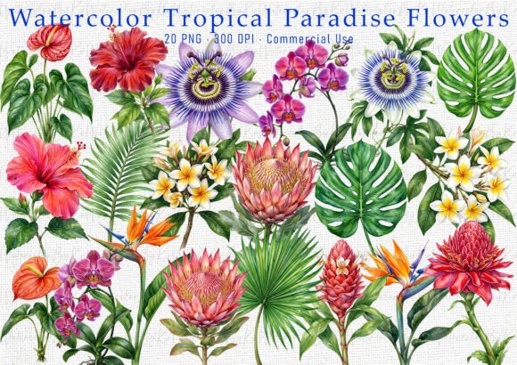 Download Tropical Paradise Bundle PNG Clipart - Tropical paradise Collection