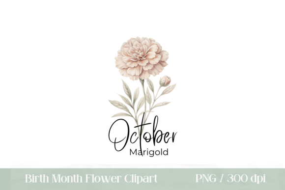 Download Birth Month Flower Marigold PNG - Gold Collection